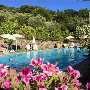 holiday agriturismo in napoli Italy 43